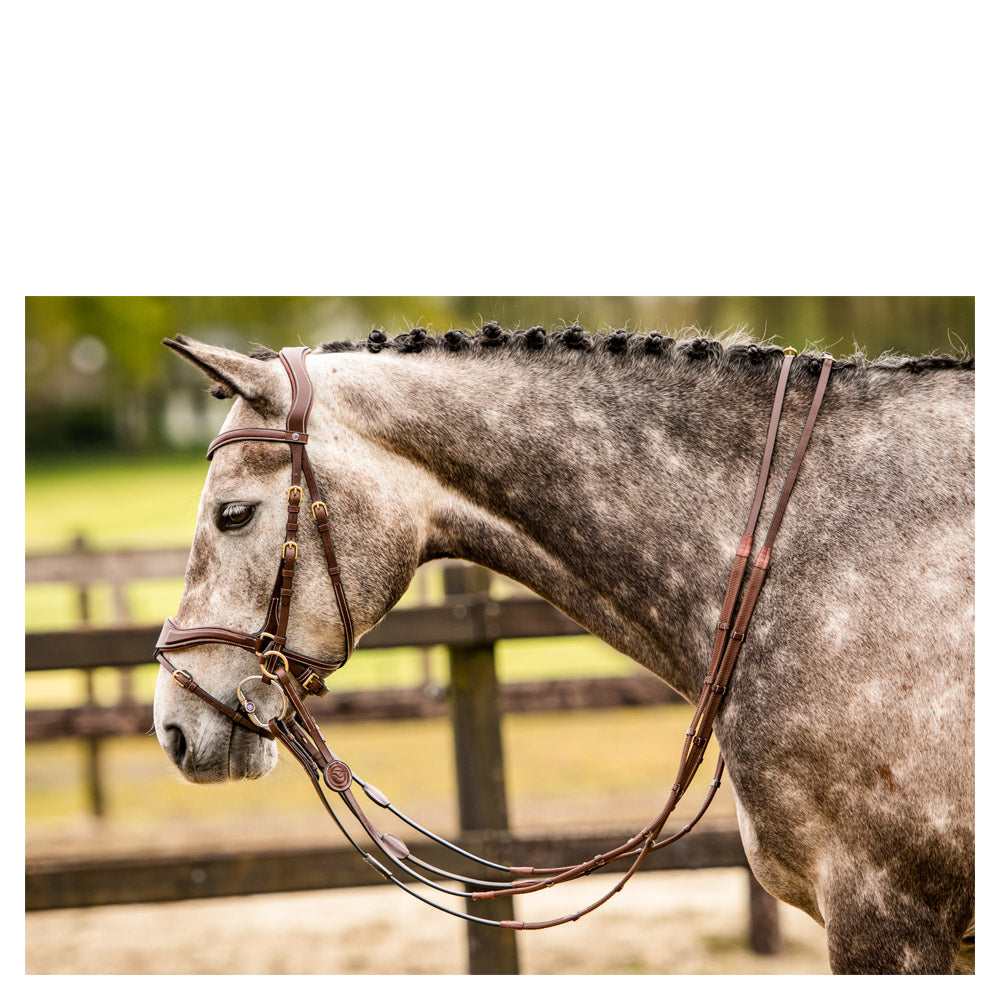 Trust Falsterbo T-Motion Bridle
