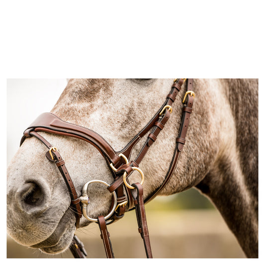 Trust Falsterbo T-Motion Bridle