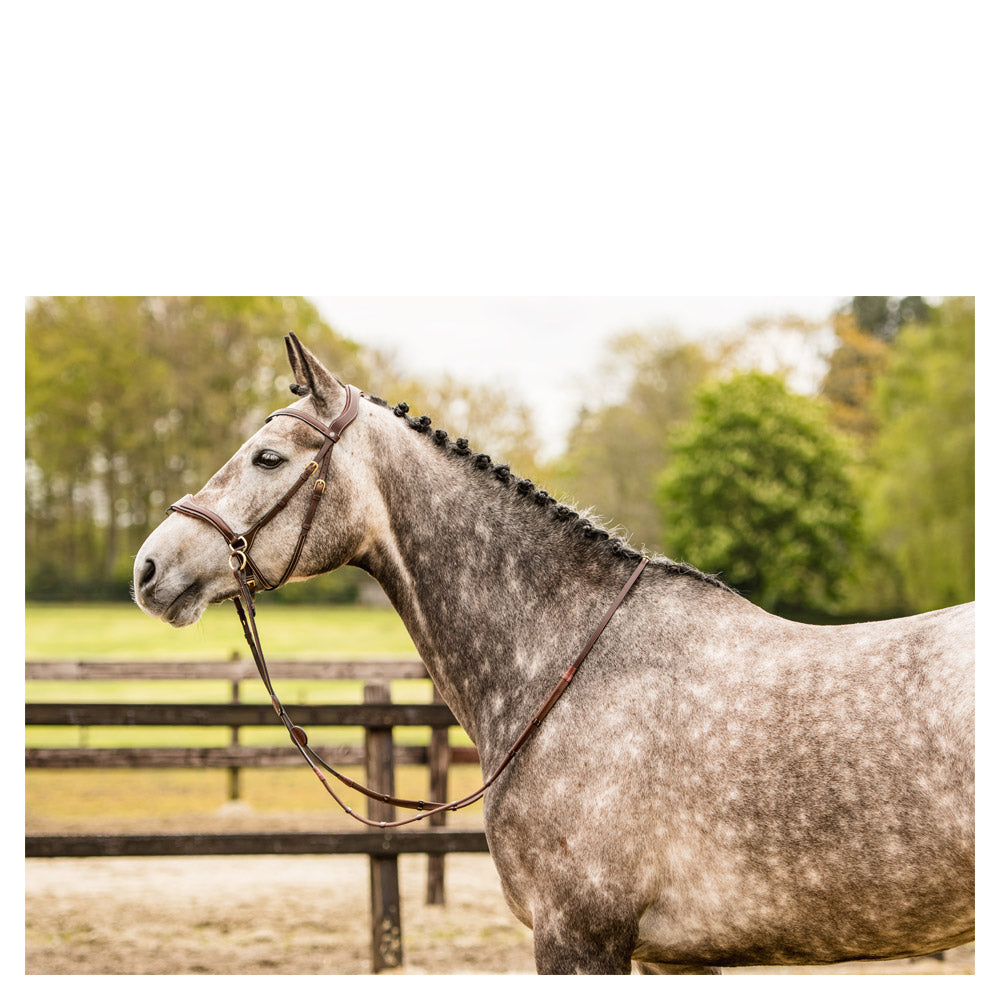 Trust Falsterbo T-Motion Bridle