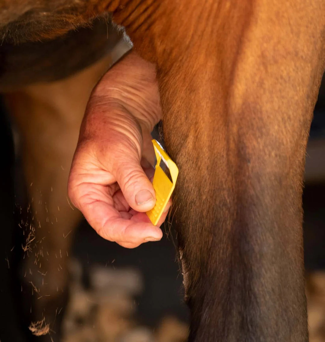 Smart Grooming Equishave