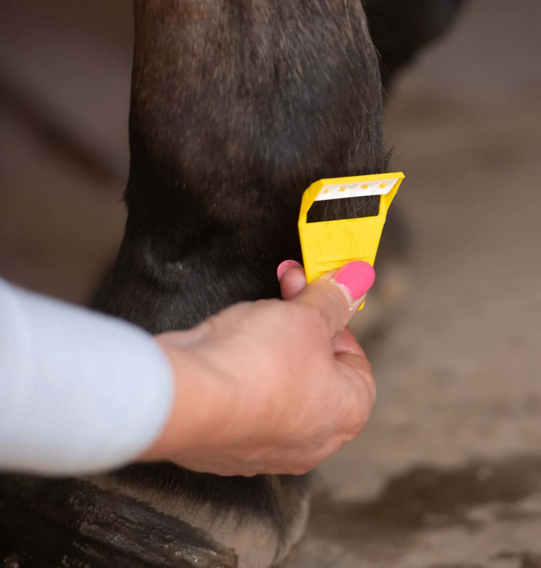 Smart Grooming Equishave