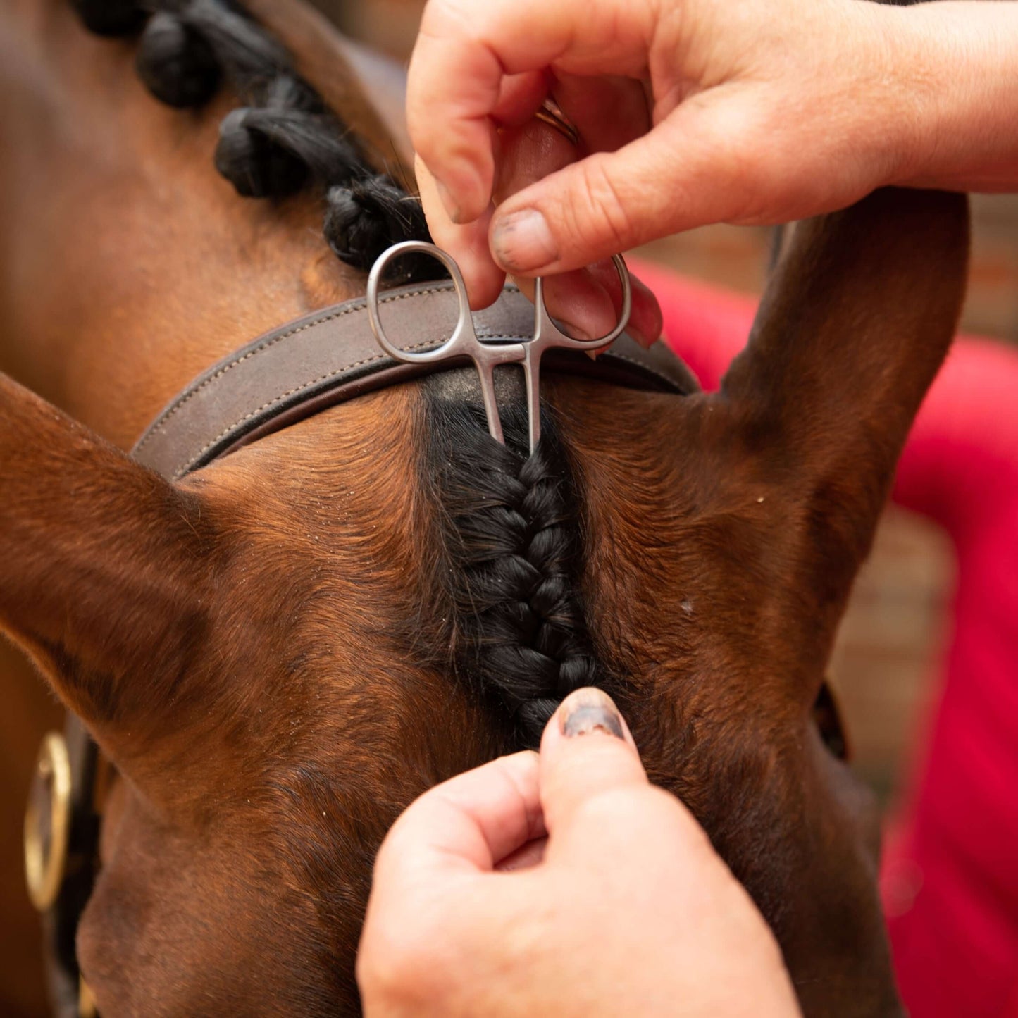 Smart Grooming Forelock Plaiting Grippers