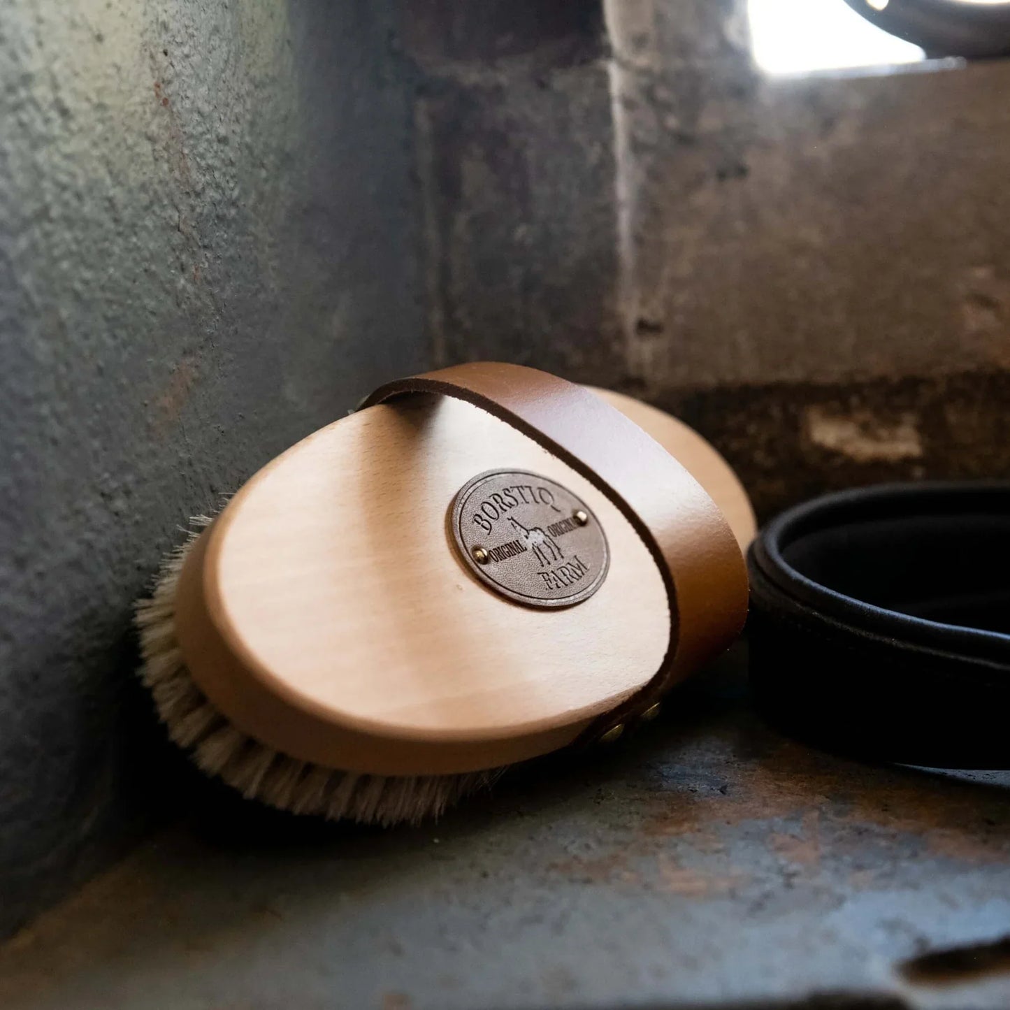 Borstiq Body Brush