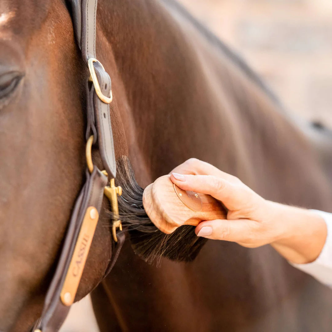 Borstiq Banana Finishing Brush