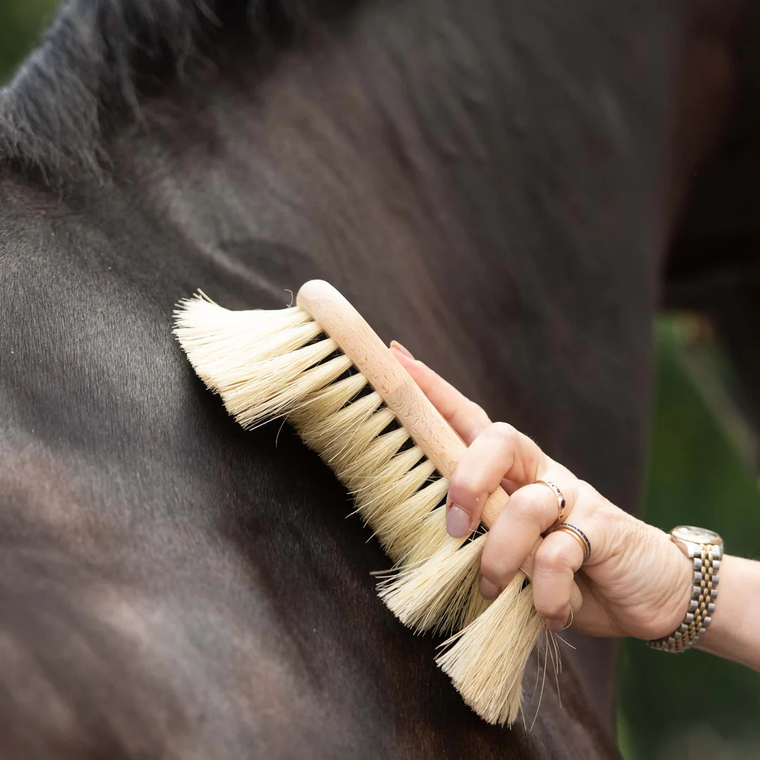 Borstiq Shaped Mex Soft Brush