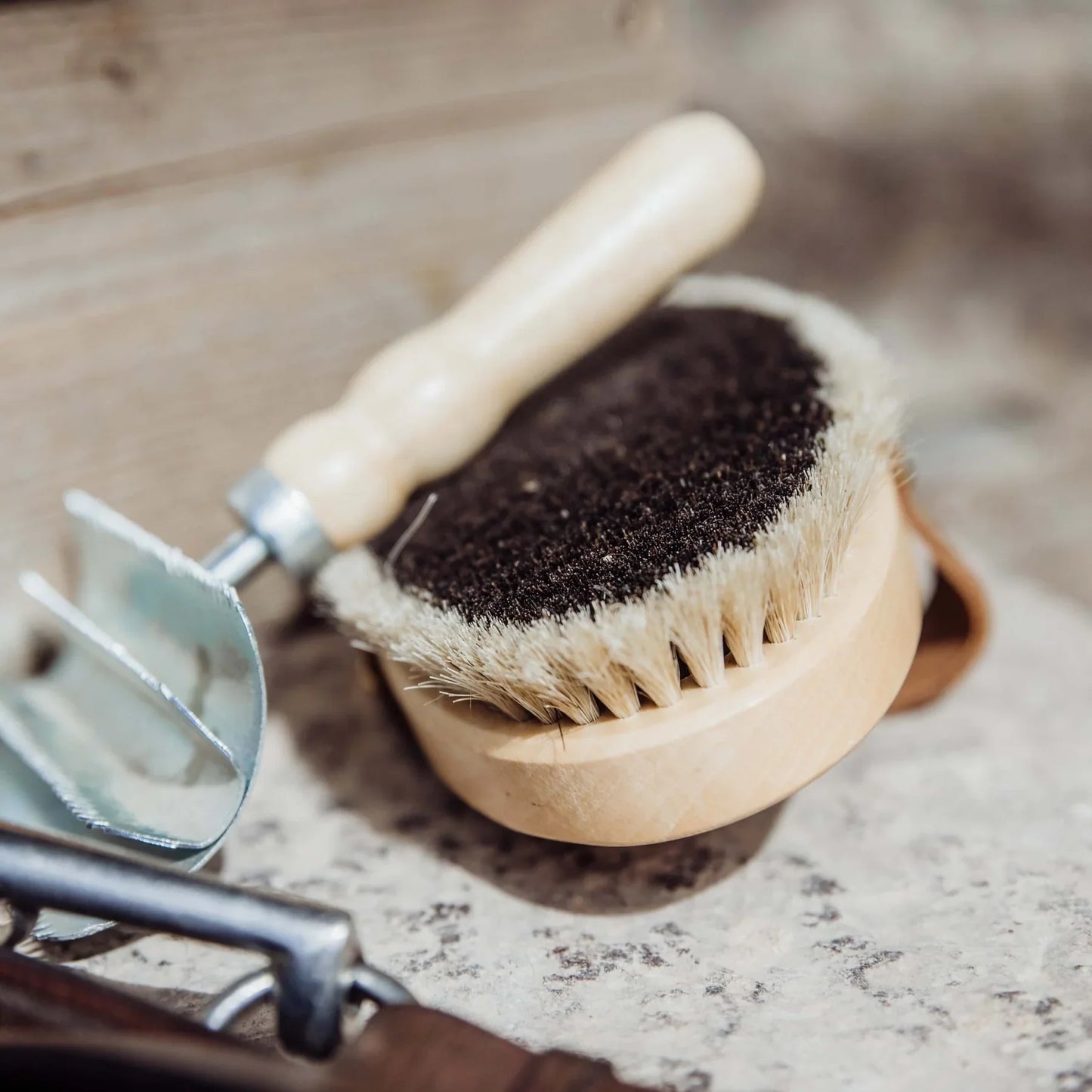 Borstiq Body Brush