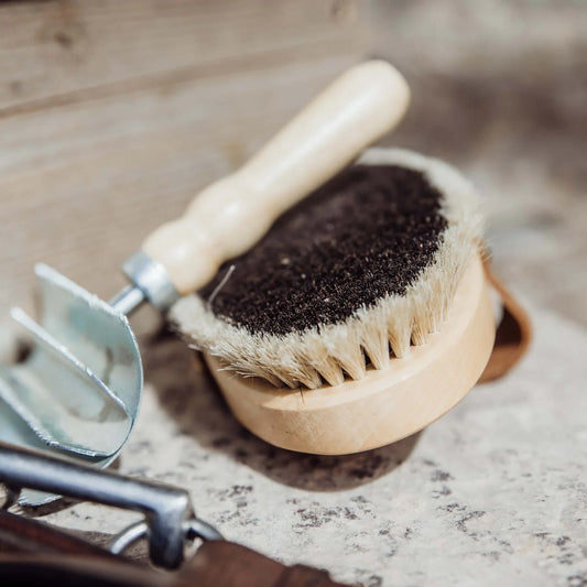 Borstiq Body Brush