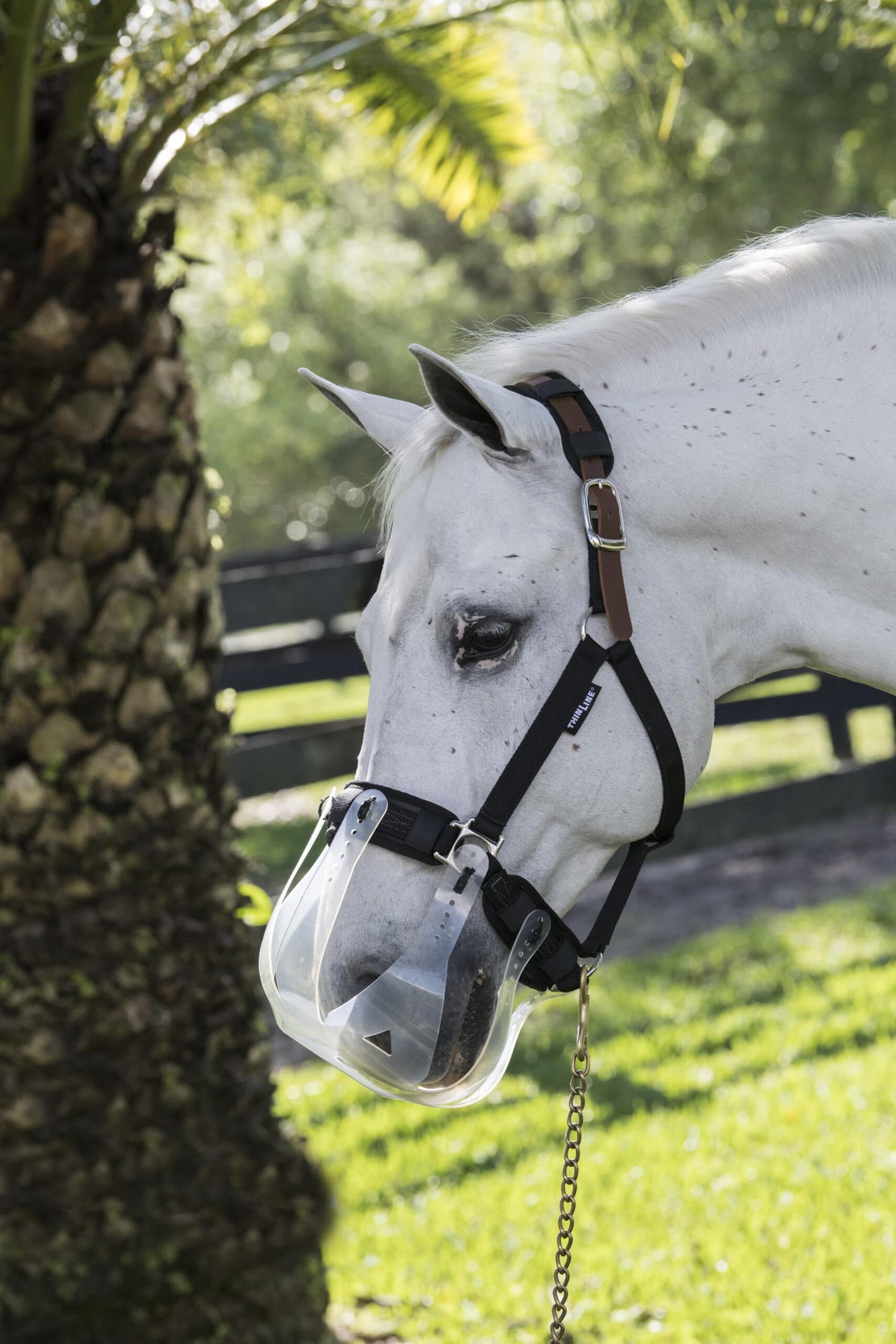 ThinLine Halter Liners