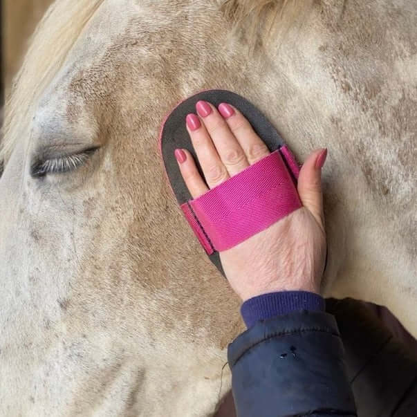 Smart Grooming Deluxe Super Groomer