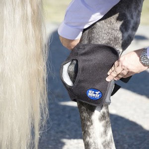 Ice Horse - Hock Wraps Pair with six cold inserts)