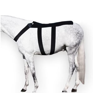 Ice Horse - Back Blanket