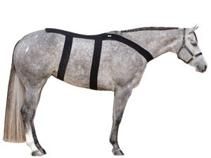 Ice Horse - Back Blanket
