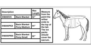 Ice Horse - Back Blanket