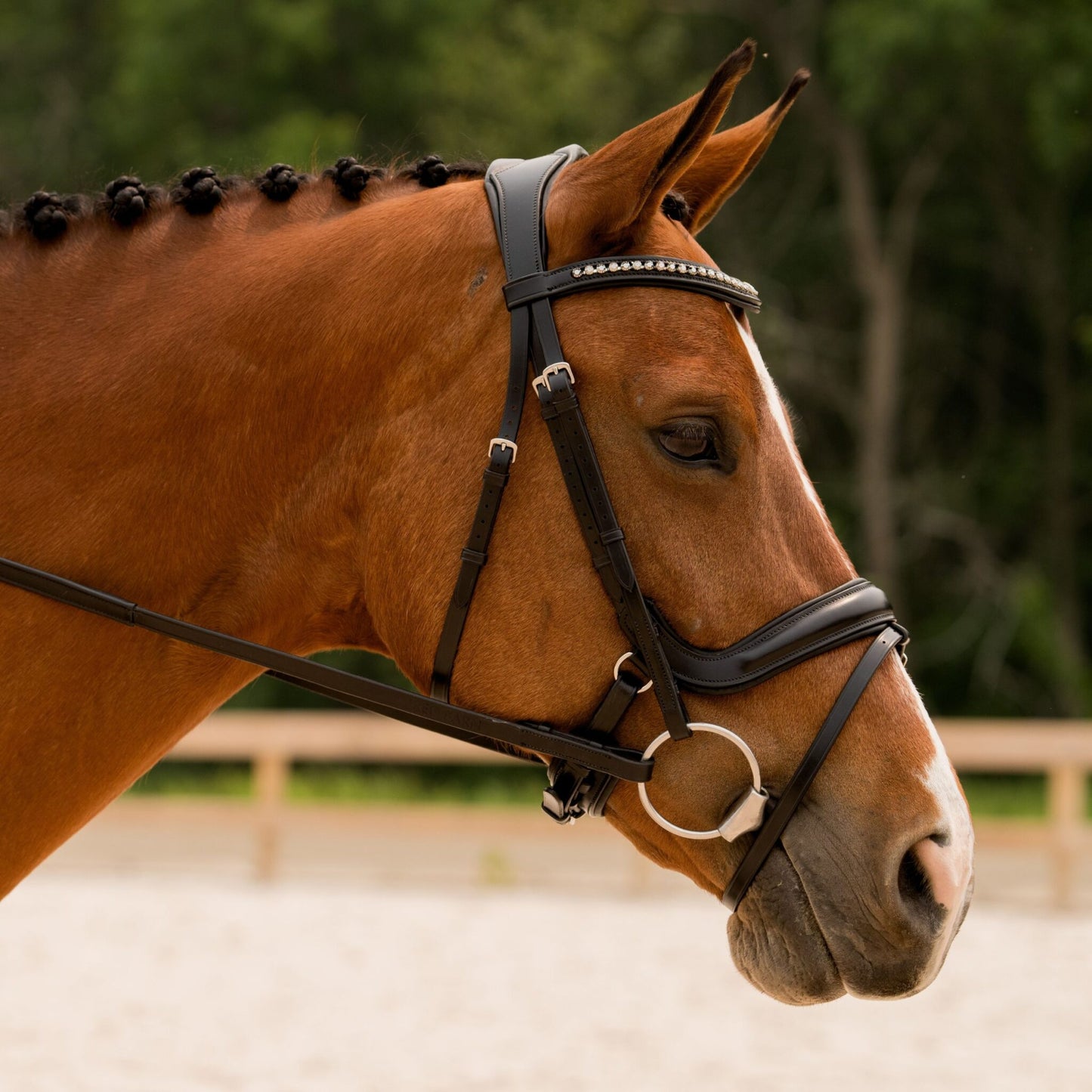 KL Select Impulsion Flask Crank Bridle - Black