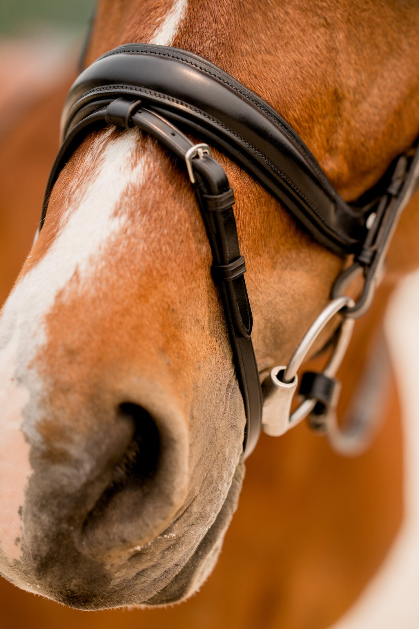 KL Select Impulsion Flask Crank Bridle - Black