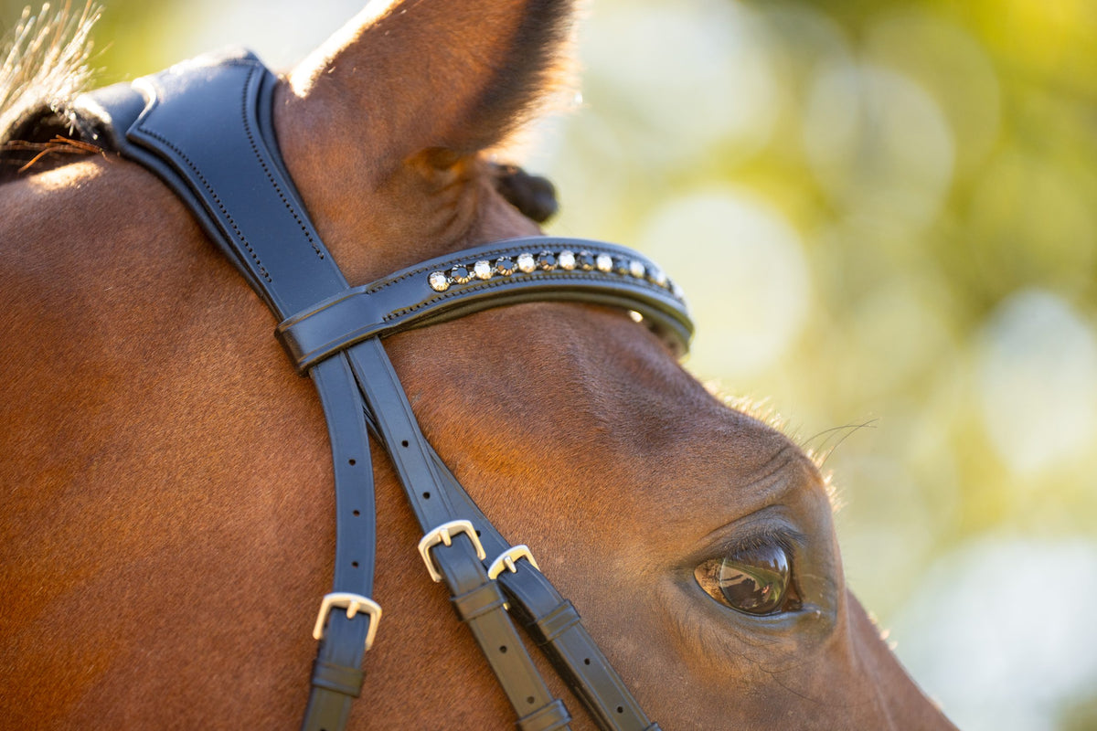 KL Select Red Barn Olympian Dressage Bridle