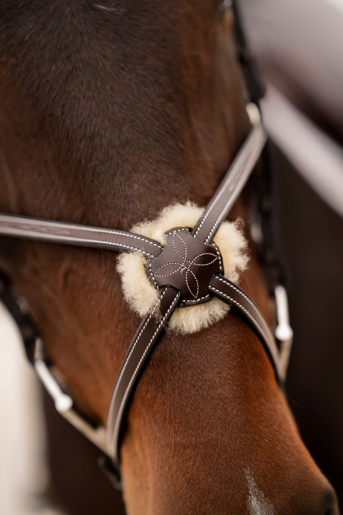 KL Select Black Oak Cedar Figure 8 Bridle with Rubber Reins