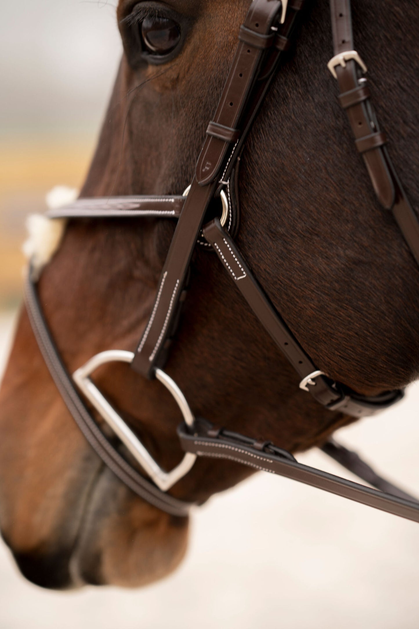 KL Select Black Oak Cedar Figure 8 Bridle with Rubber Reins