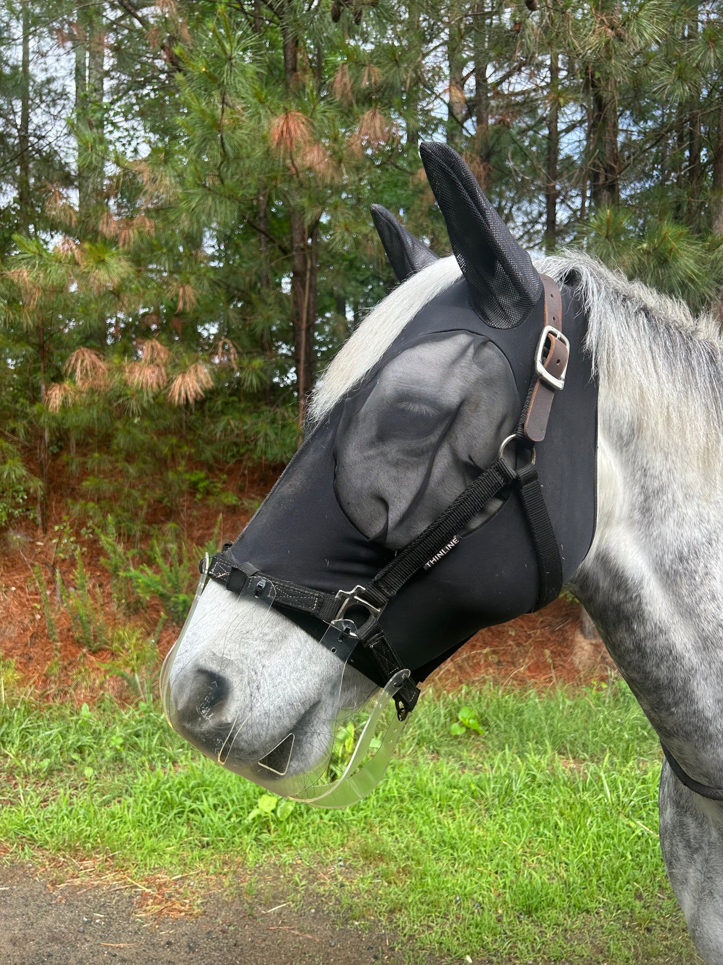 Soft Fit Fly Mask