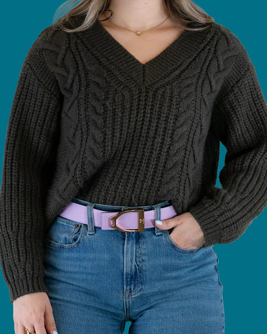 Dreamers & Schemers Reversible Belt - Chocolate & Lavender