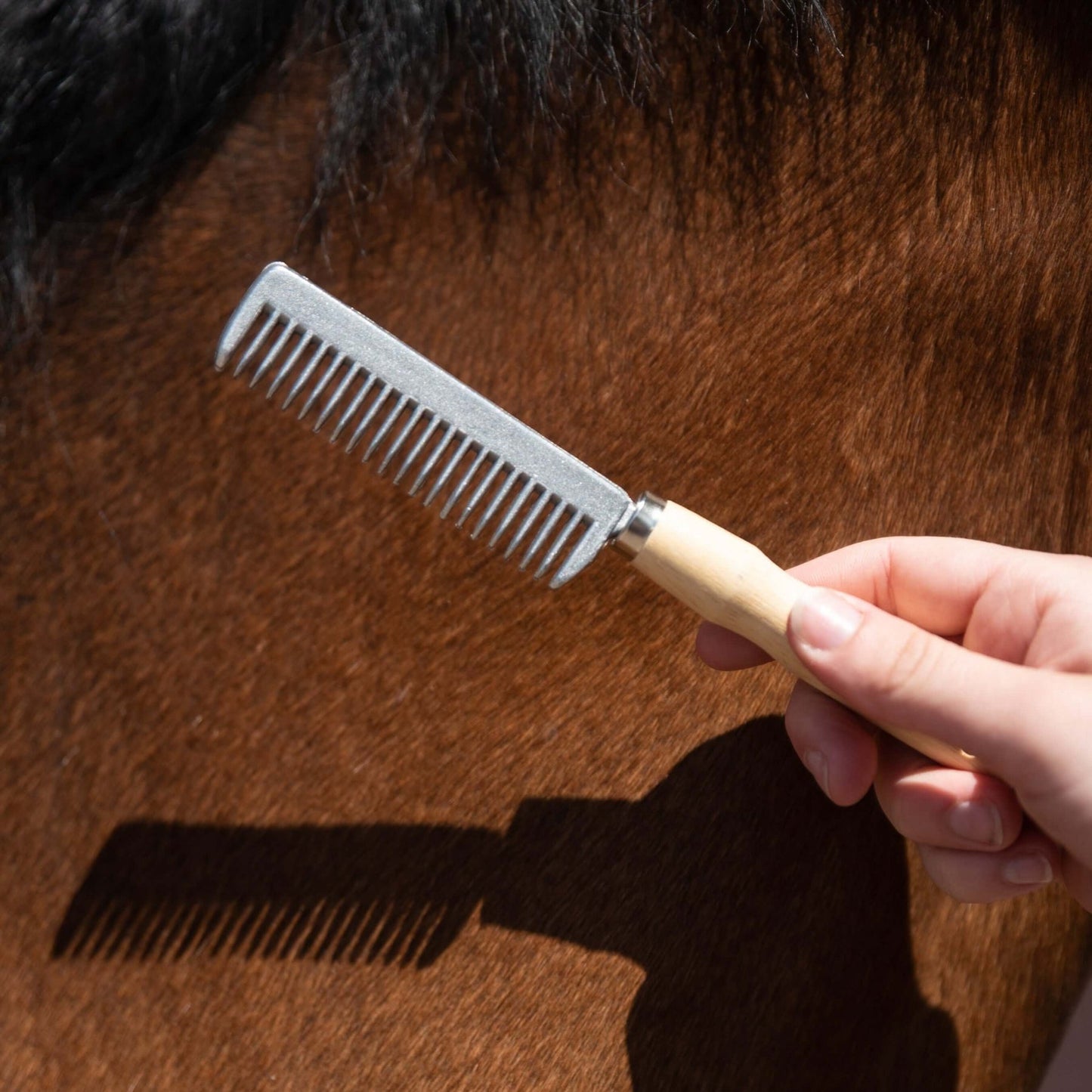 Smart Grooming Mane Pulling Comb