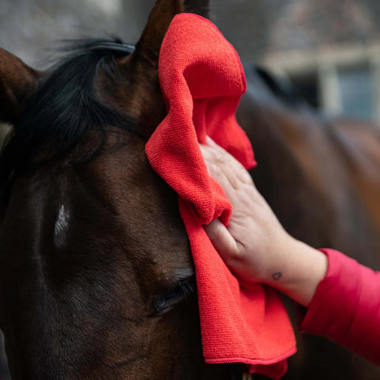 Smart Grooming Microfibre Cloth