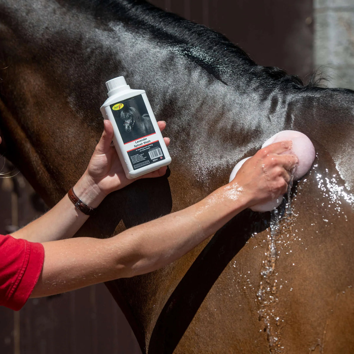 Smart Grooming Lavender Splosh