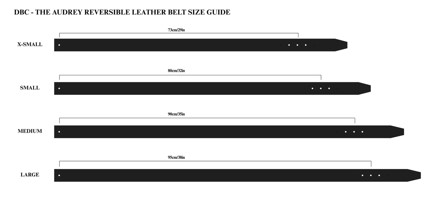 Dubois Cheval Audrey Reversible Leather Belt - Silver & Black
