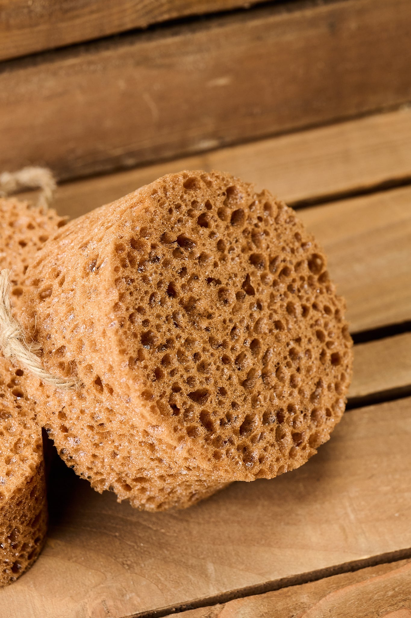 Borstiq Sponge