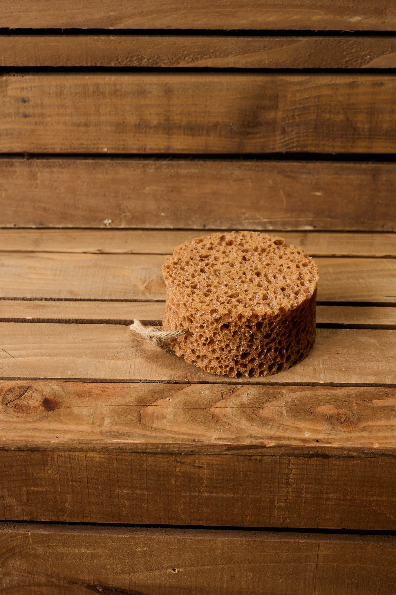 Borstiq Sponge