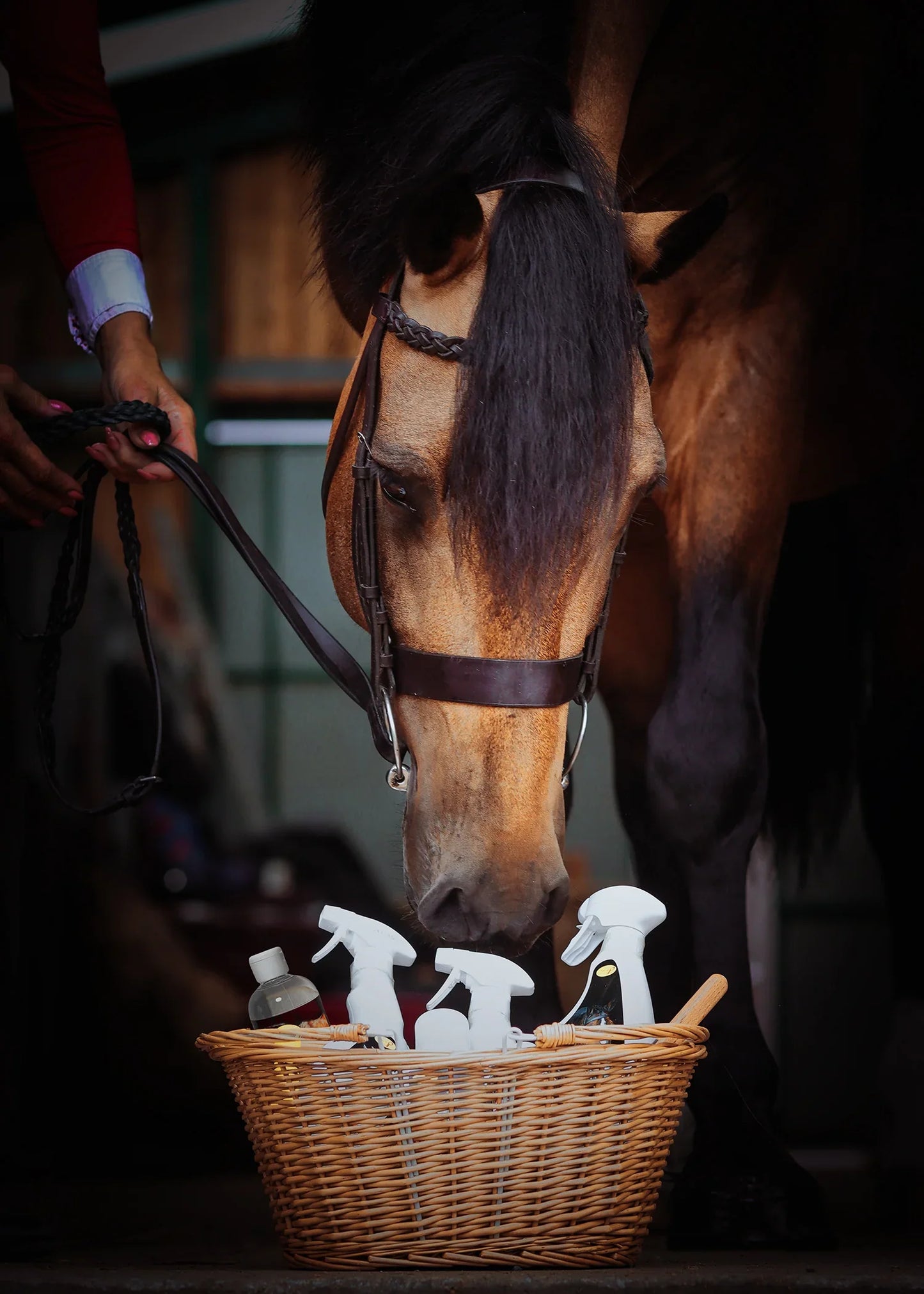 Smart Grooming Wicker Basket