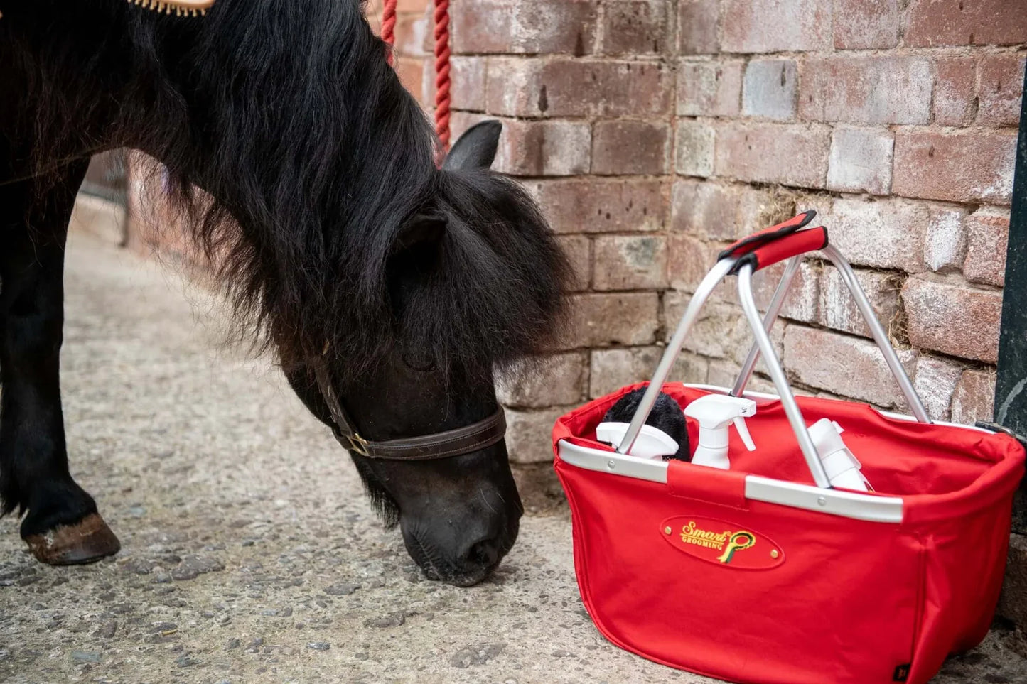 Smart Grooming Red Show Ring Basket