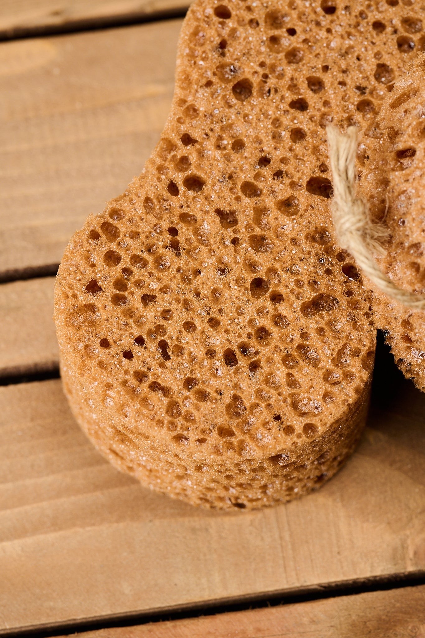 Borstiq Sponge