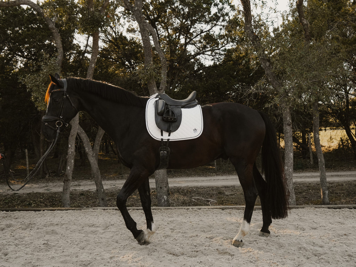 16 Cypress Daily Sport Dressage Saddle Pad - White