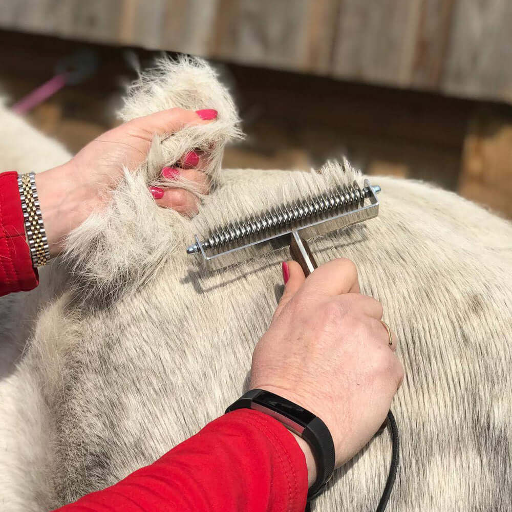 Smart Grooming Smart Coat