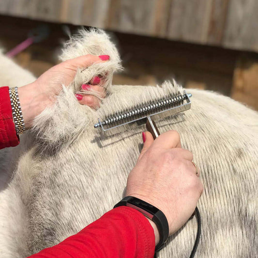 Smart Grooming Smart Coat