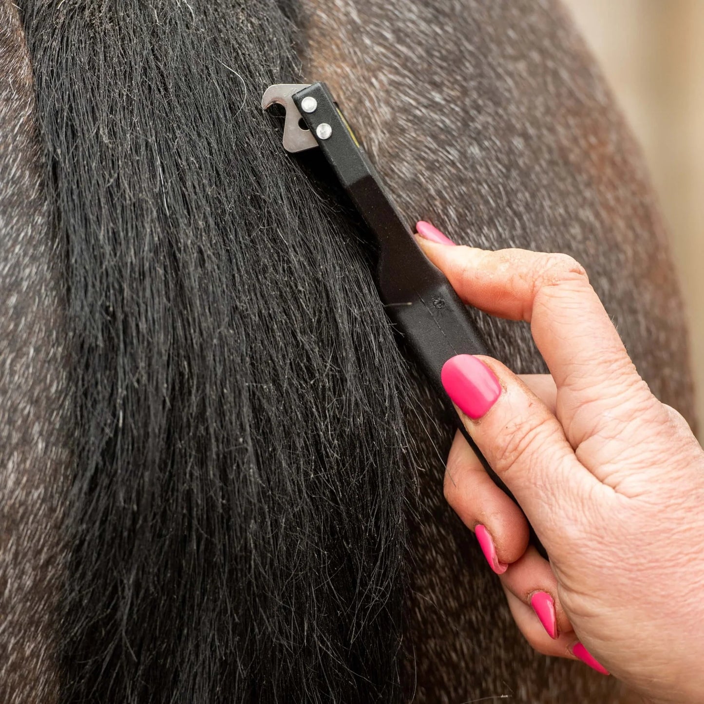 Smart Grooming Smart Tails