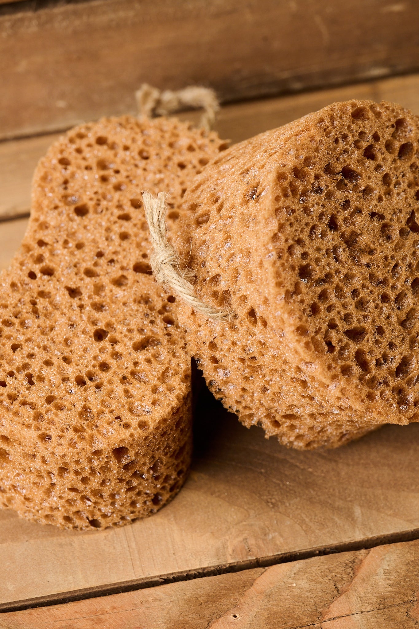 Borstiq Sponge