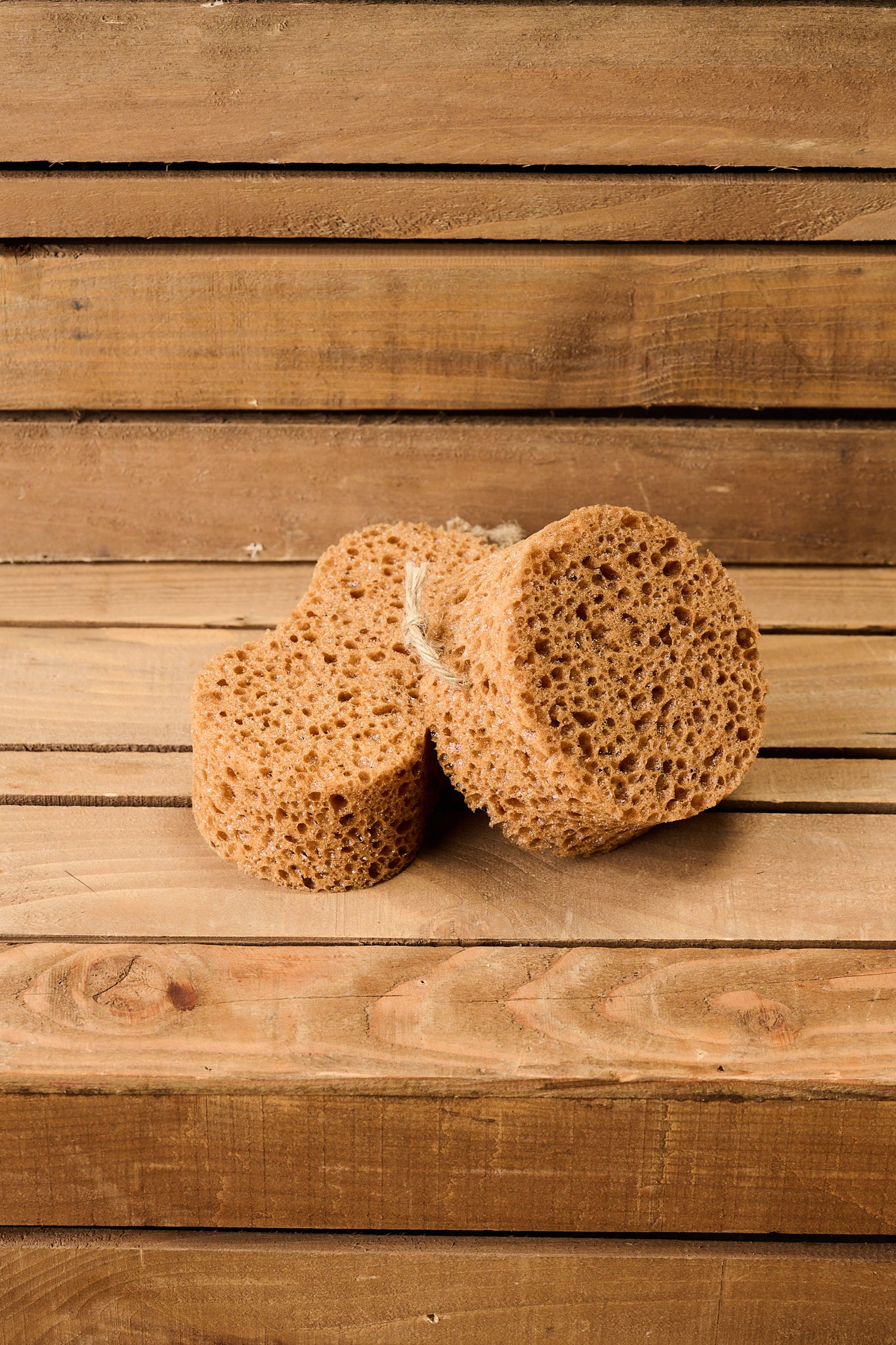 Borstiq Sponge