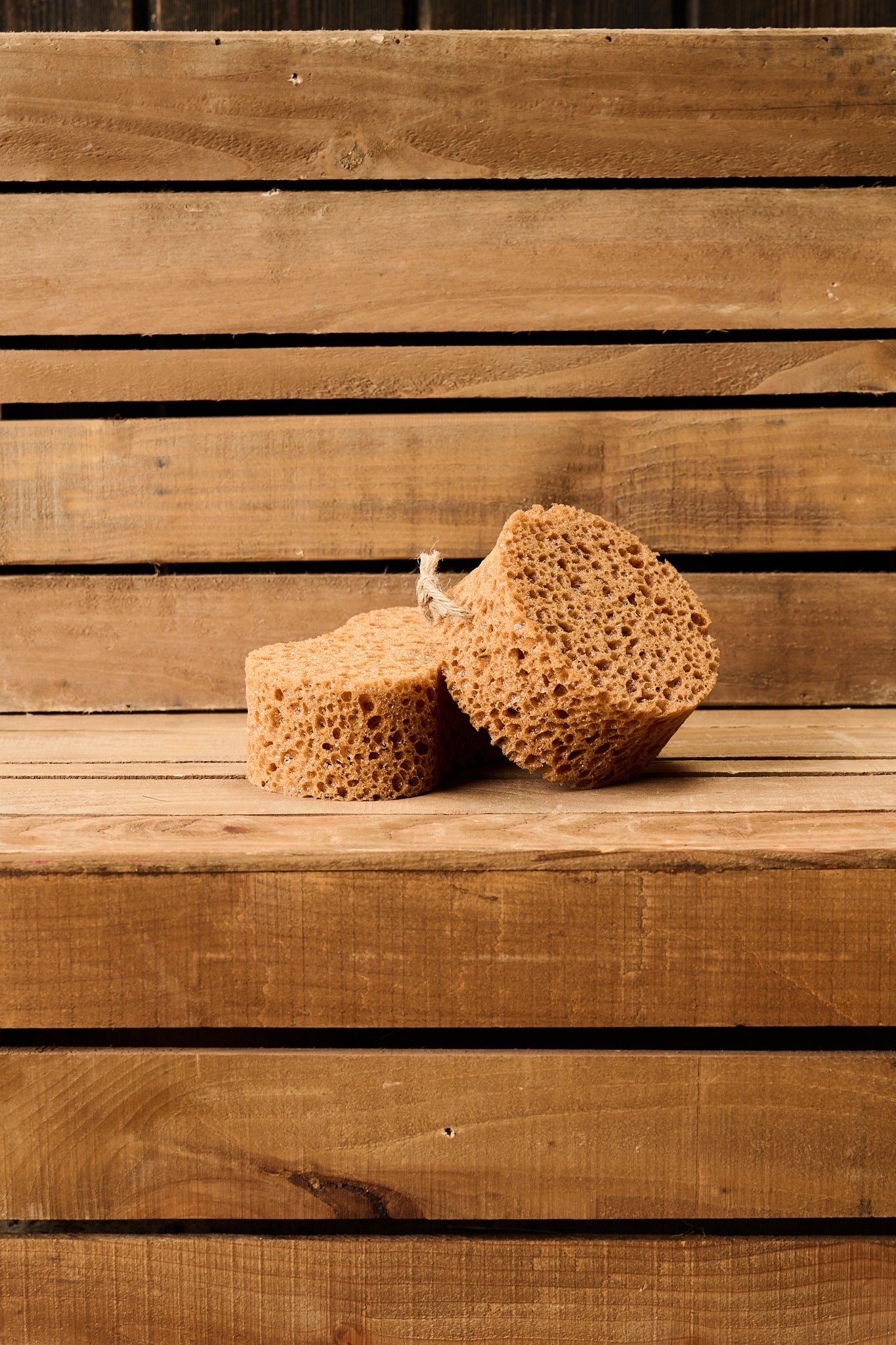 Borstiq Sponge