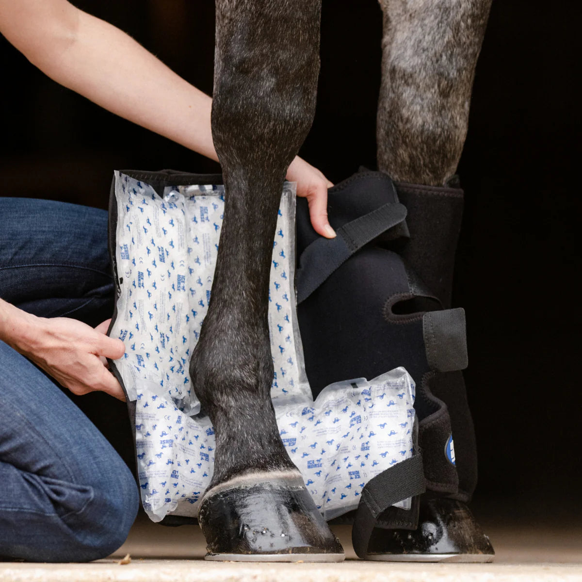 Ice Horse - Full Hind Leg Wraps
