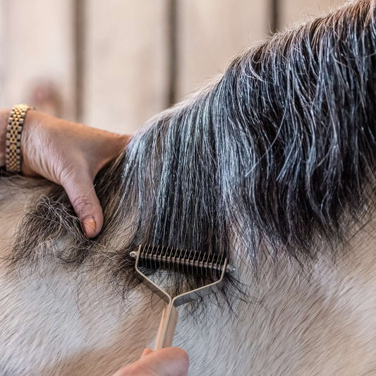 Smart Grooming Smart Mane