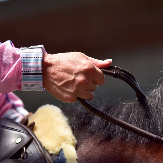 ThinLine Classic Wrapped Reins With Buckle End