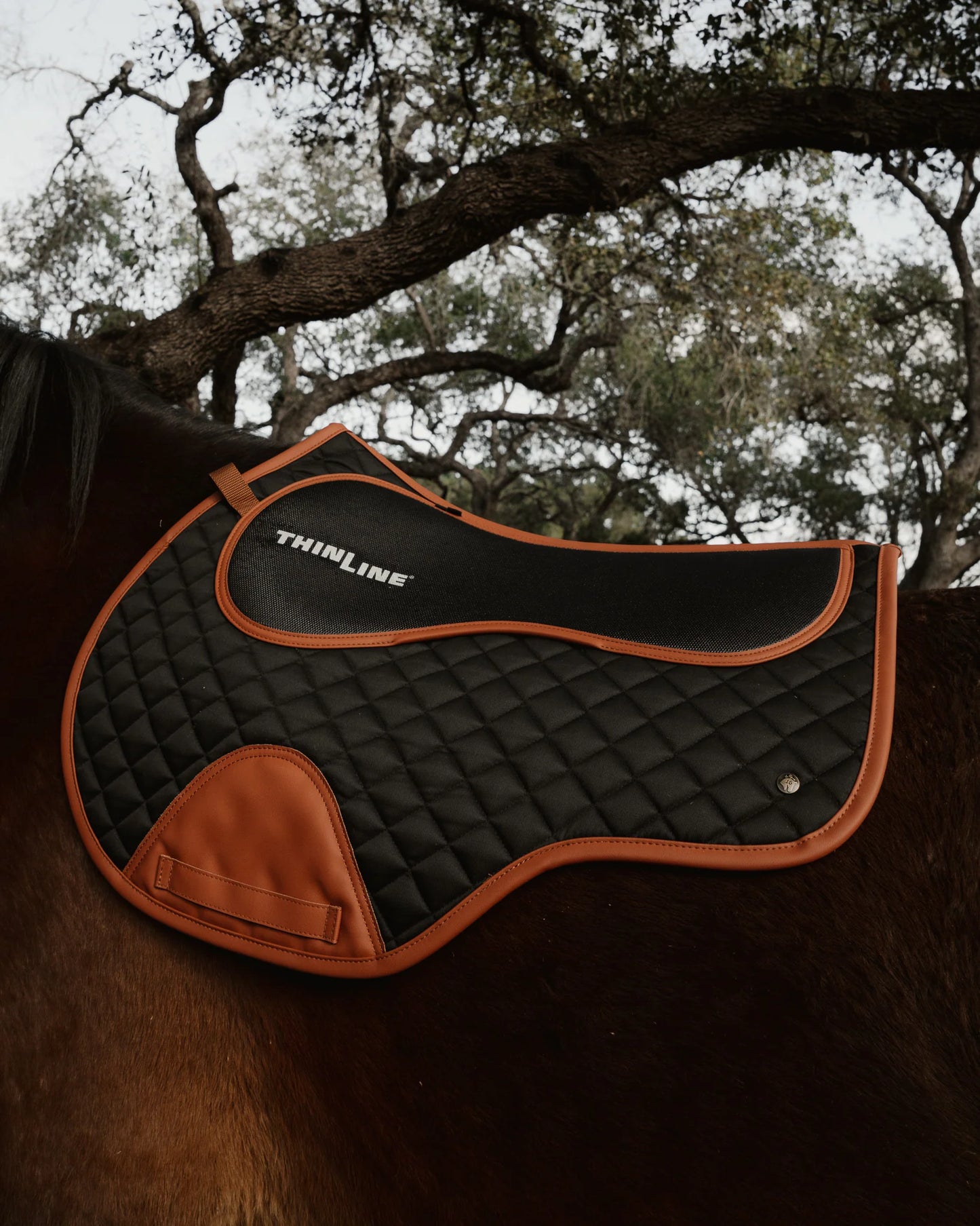 16 Cypress x Thinline Close Contact Pad - Black & Cognac