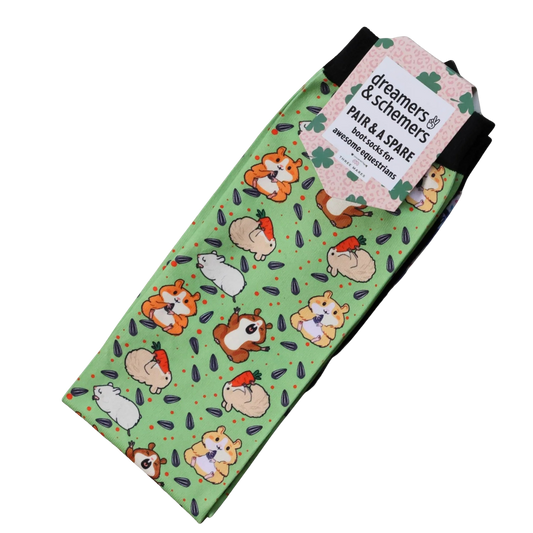 Dreamers & Schemers Youth Pair & Spare Socks - Hamster