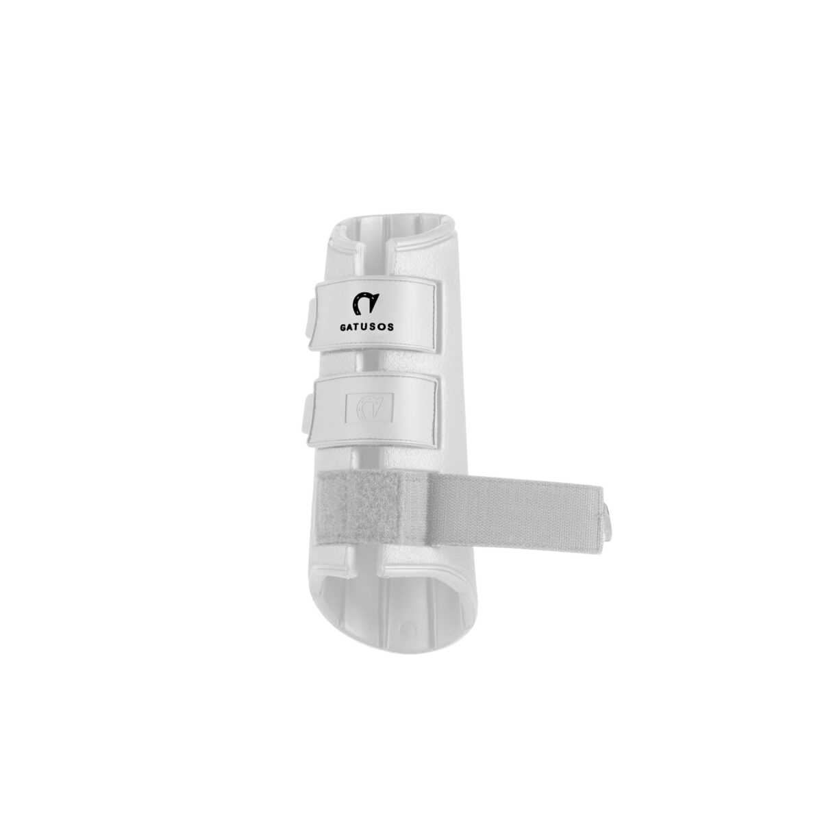 Gatusos Royal - Dressage Front