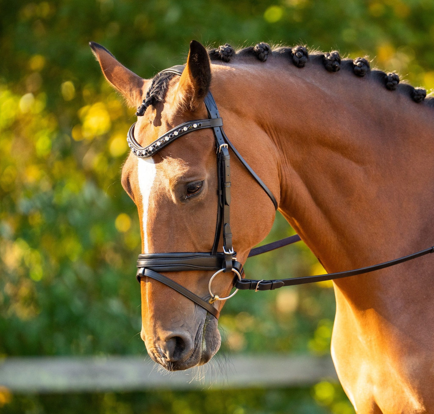 KL Select Black Oak Daphine Flash Crank Bridle