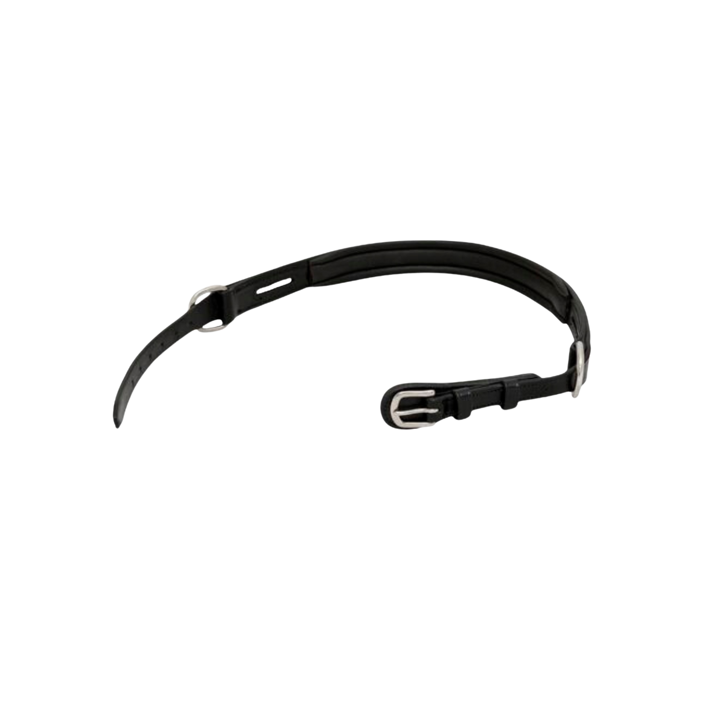 Bitless Noseband