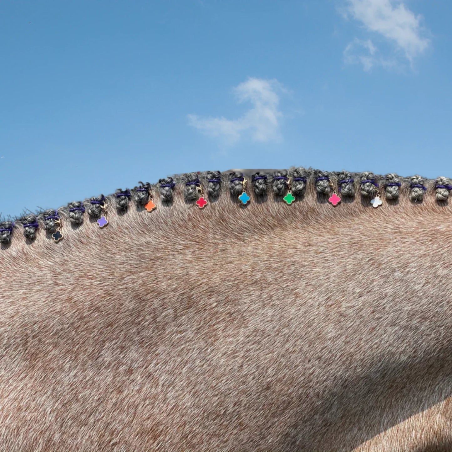 Dubois Cheval Braiding Clover Charm