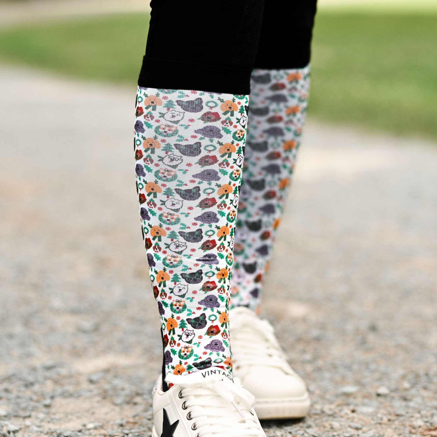 Dreamers & Schemers a Pair & Spare Socks - Deck the Paws